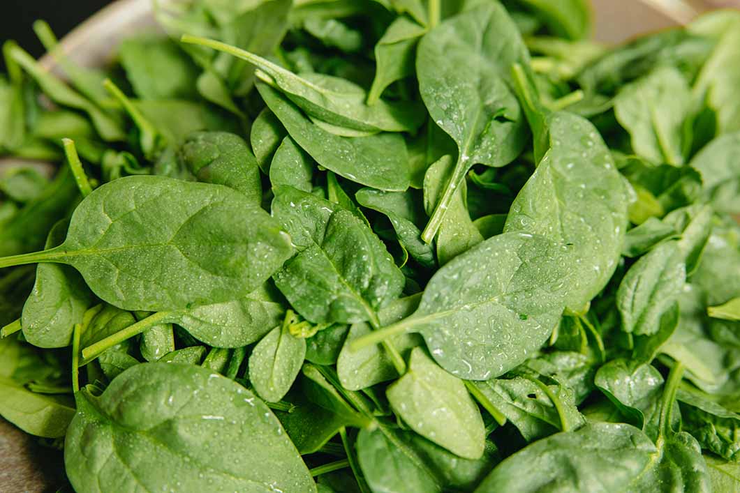 Spinach showing its high nutritional value to help combat hair loss