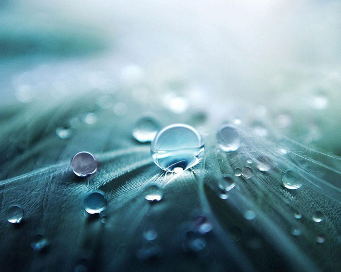 Droplet of water to show how the diy honey & yoghurt hair mask hydrate hair