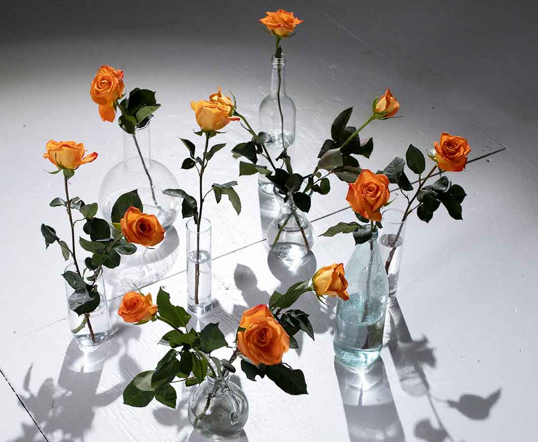 Roses in glass jars