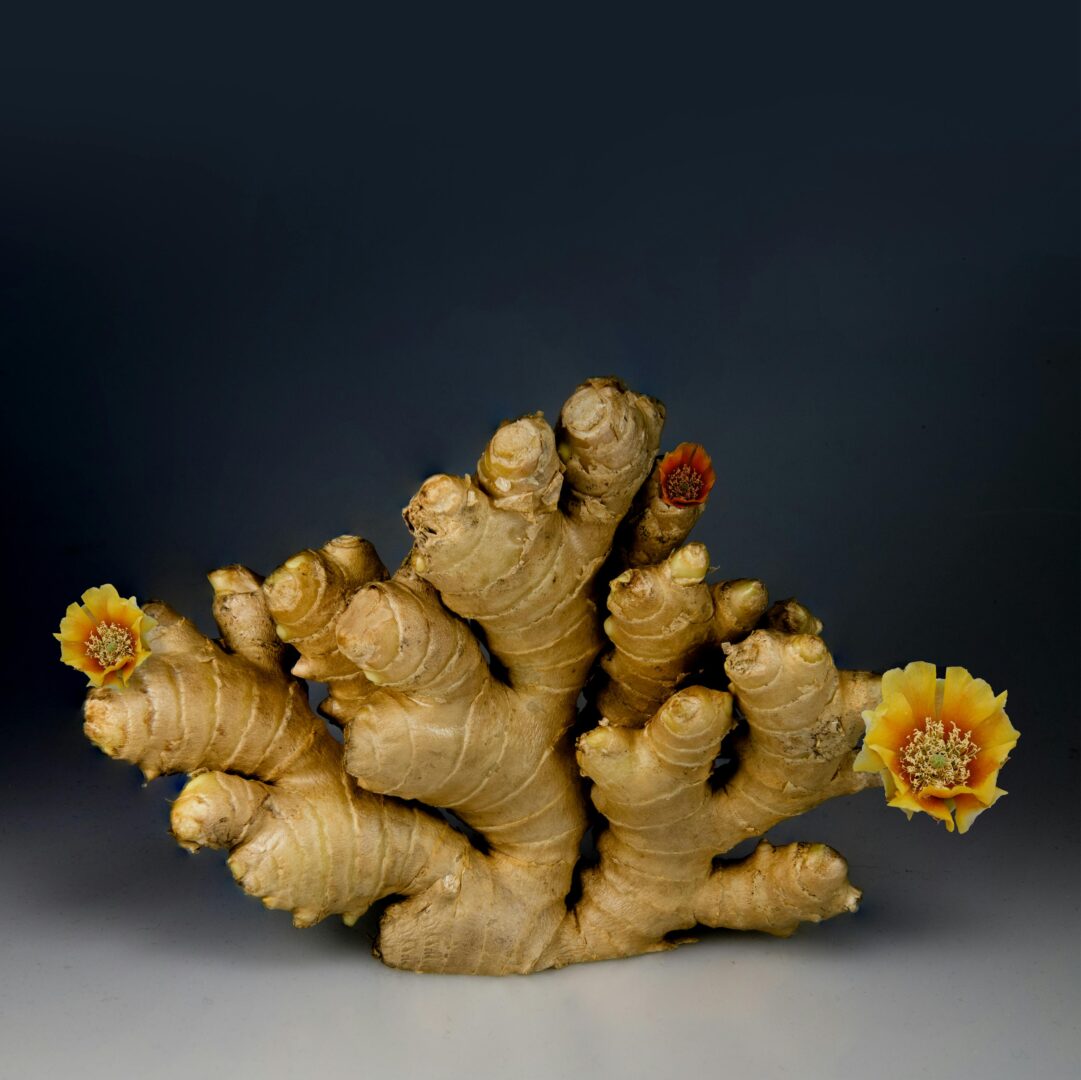 Ginger root on a table countertop.